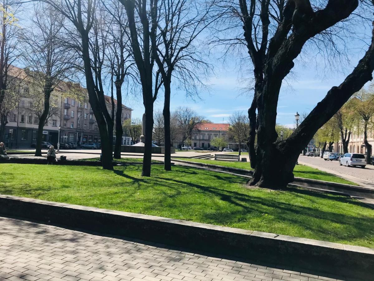 Cozy And Bright Sauliu Studio In Klaipeda Luaran gambar